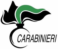 logo carabinieri forestali