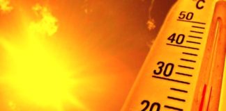 Caldo termometro