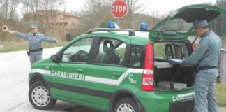 carabinieri forestale