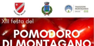 festa del pomodoro 2019