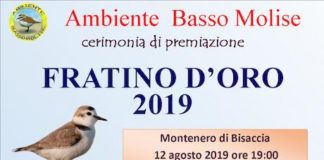 premio fratino d'oro 2019