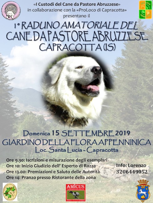 1° Raduno Amatoriale del Cane da Pastore Abruzzese a Capracotta