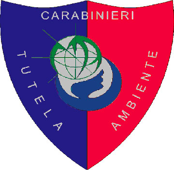 carabinieri noe