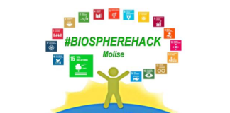 biospherehack