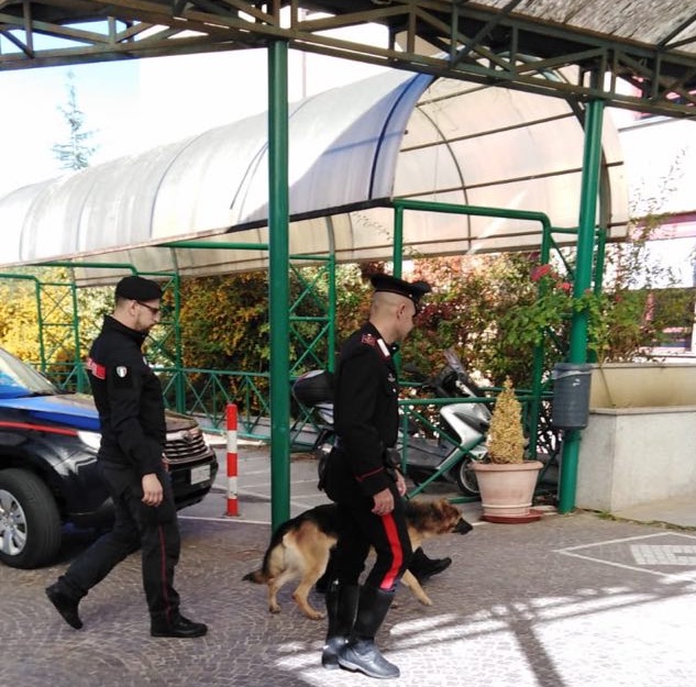 carabinieri cinofil