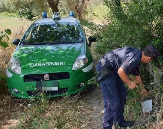 carabinieri forestali