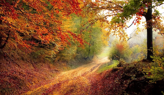 paesaggio- autunno