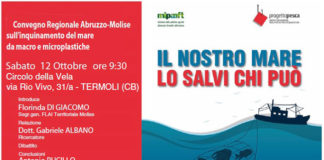 il nostro mare lo salvi chi può 12 ottobre 2019