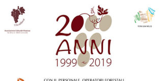 20 anni locandina