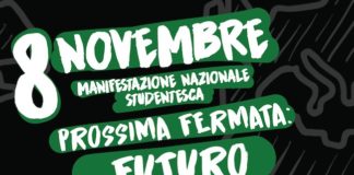 8 novembre manifestazione