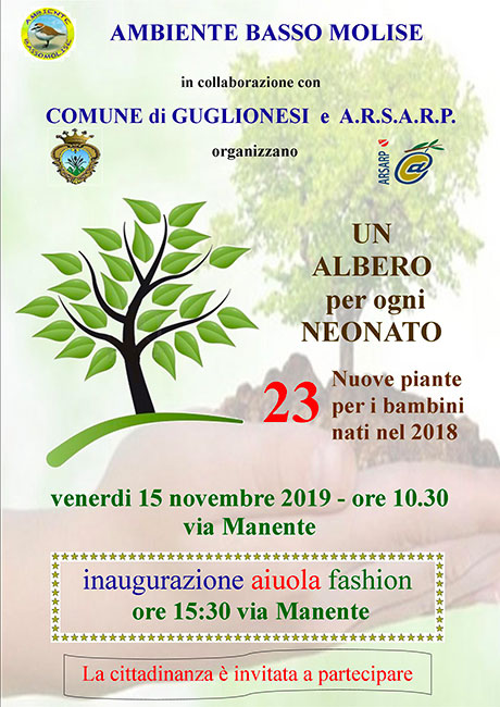 albero festa 15 novembre 2019