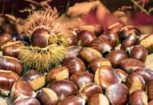 castagne