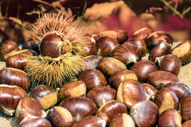 castagne