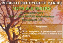 festa dell'albero isernia 21 novembre 2019