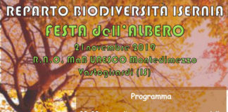 festa dell'albero isernia 21 novembre 2019