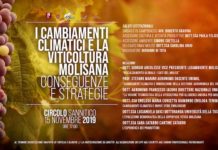 i cambiamenti climatici viticultura 15 novembre 2019