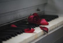 pianoforte rosa