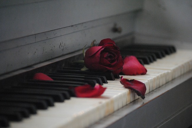 pianoforte rosa