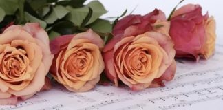 rose musica