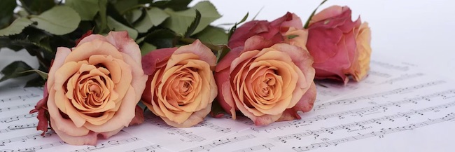 rose musica