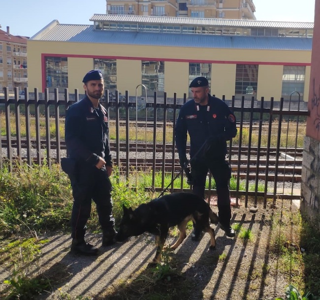 carabinieri isernia cinofili