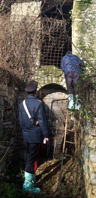 carabinieri