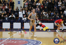 teddy bear toss di gregorio