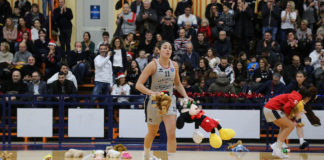 teddy bear toss di gregorio