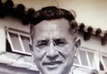 trivisonno