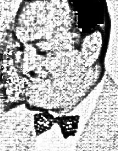 arthur taddeo