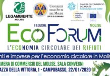 ecoforum