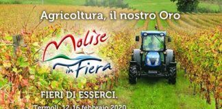 molise in fiera 2020