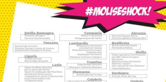 molise shock