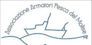 associazione armatori pesca molise