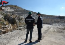 carabinieri tutela ambientale campobasso