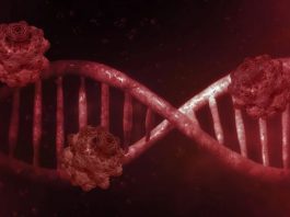 coronavirus venerdì
