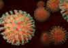 coronavirus covid19 giovedì
