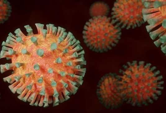 Coronavirus Molise, i dati del 1° giugno: +3 nuovi positivi coronavirus covid19 giovedì