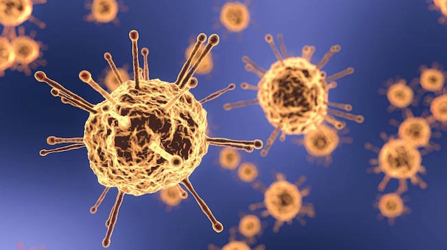 coronavirus