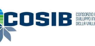 logo cosib