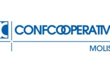 confcooperative molise logo