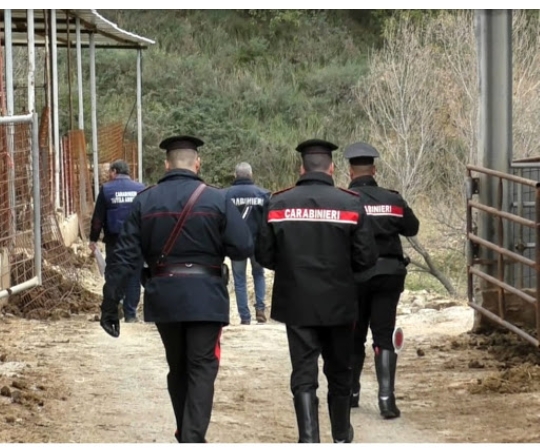 controlli rispetto dpcm isernia