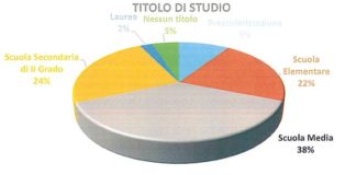 grafico titolo di studio