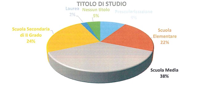 grafico titolo di studio