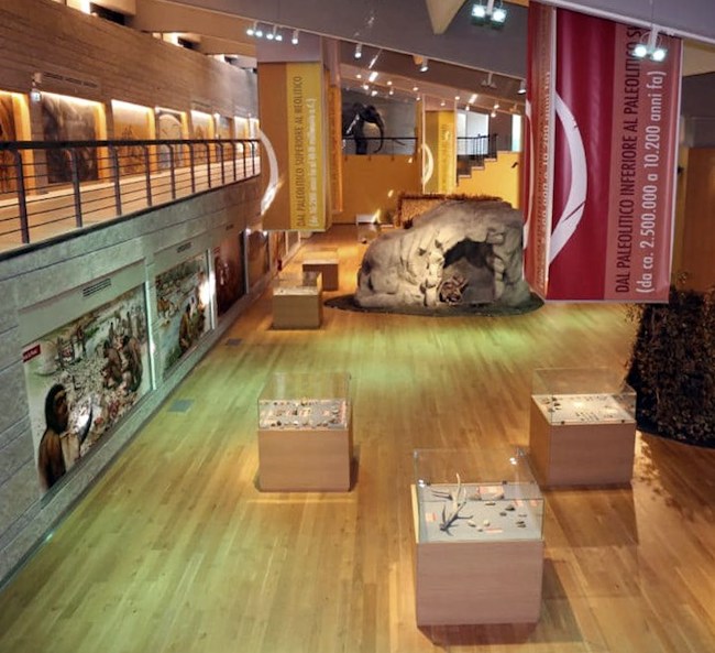 museo del paleontolitico
