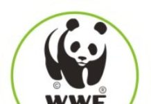 wwf molise