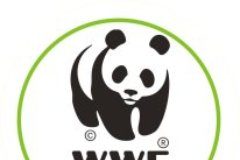 wwf molise