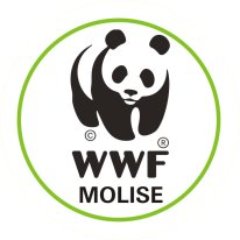 wwf molise