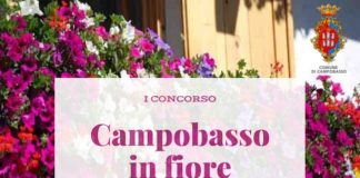 campobasso in fiore 2020