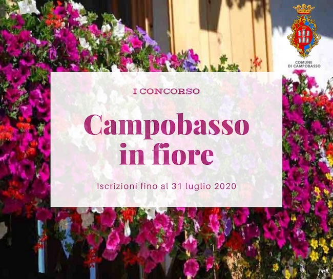 campobasso in fiore 2020